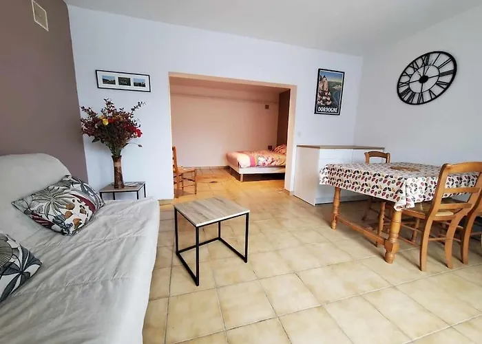 Studio Au Pied Du Chateau De Castelnaud
