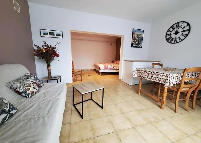 Studio Au Pied Du Chateau De Castelnaud